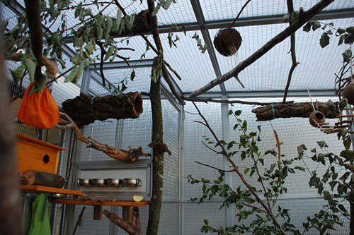 Balkonvoliere für Baumstreifenhörnchen